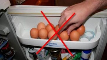 ovos