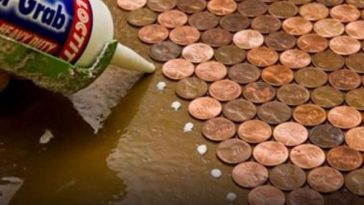 moedas