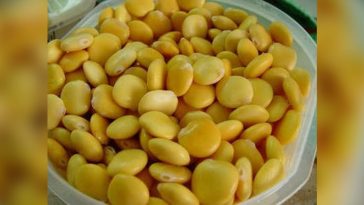 tremocos