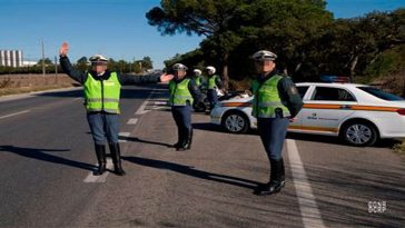 condutores_portugueses
