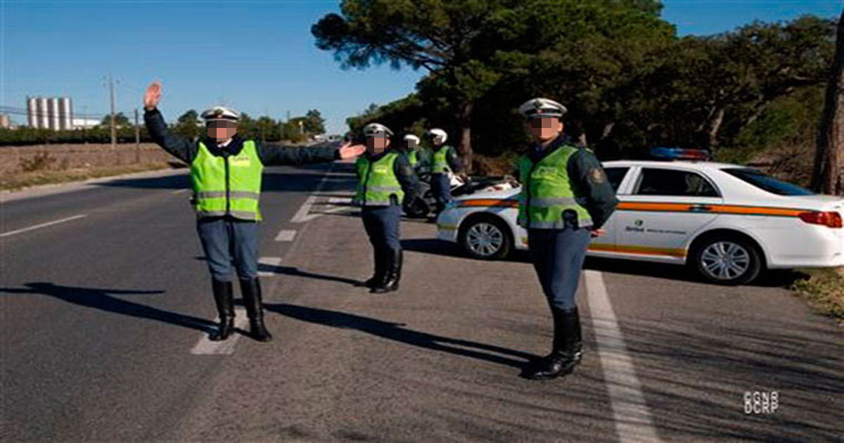 condutores_portugueses