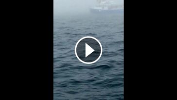 oceano