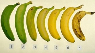 bananas