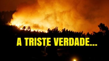incendios