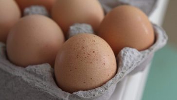 ovos