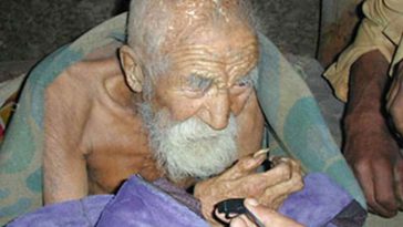 indiano-velho