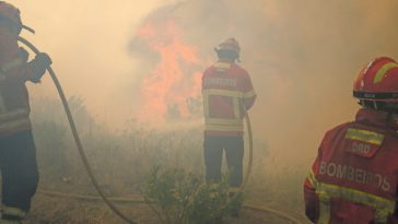 bombeiros