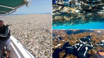 lixo-nos-oceanos