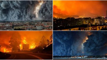 industria_incendios