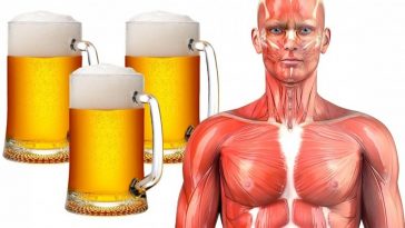 beber-cerveja-todos-os-dias-e-mais-saudavel-do-que-estar-morto-revela-estudo