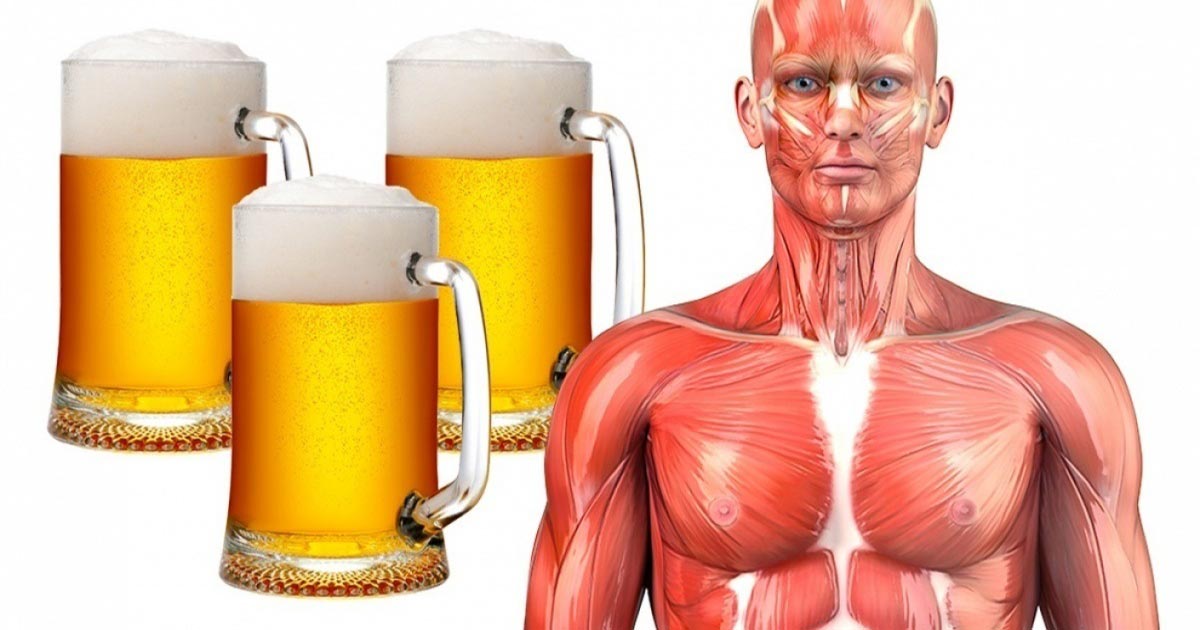 beber-cerveja-todos-os-dias-e-mais-saudavel-do-que-estar-morto-revela-estudo