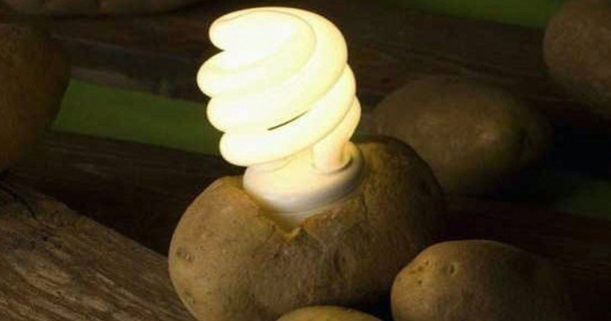 batata